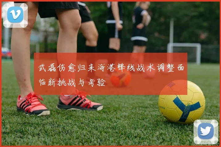 武磊伤愈归来海港锋线战术调整面临新挑战与考验